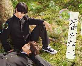 涧西网站优化建设公司